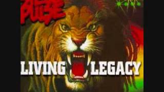 Steel Pulse  Reggae Fever Living Legacy [upl. by Lleda]