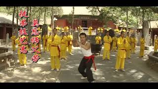 The Challenge 谁与争锋  Robin Leong Shows Real KungFu 10 [upl. by Onirefez2]