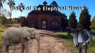 Back to the Elephant House at Rookwood Cemetery [upl. by Sirak]