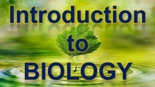 What is BiologyConcepts Of Biology [upl. by Helyn]