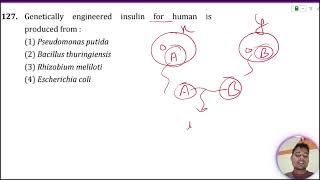 Genetically engineered insulin for human is produced from 1 Escherichia coli 2 Psuedomonas [upl. by Tatman]