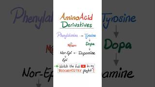 Amino Acid Derivatives  Part 1…biochemistry biology science nurse doctor mbbs nclex usmle [upl. by Netloc]