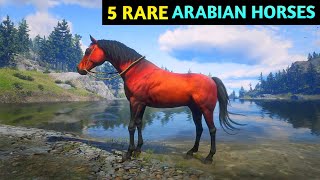 5 Rare amp Fastest Arabian Horse Locations  RDR2 [upl. by Eenyaj]