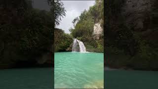 Kawasan Falls Cebu Philippinesphilippines travel cebu nature [upl. by Laureen826]