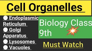 cell organelles and their Functions class 9th Biology Important Cell Organelles [upl. by Acinok876]