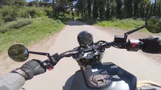 2019 Husqvarna Svartpilen 701 Review  First Ride [upl. by Eibbil]