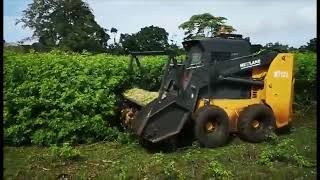 Best Skid Steer Mulcher Attachment for Forestry  SHENGLUN [upl. by Serene170]