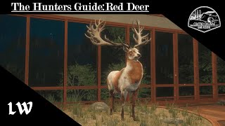 2024 The Hunters Guide Red Deer For Cuatro Colinas Hotspot map amp MORE thehuntercallofthewild [upl. by Sethi]