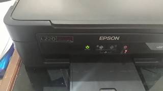 Cara RESET PRINTER EPSON L220  5 langkah Cepat untuk Epson Lseries [upl. by Laflam]