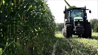 Maisernte 2k15 beim AgrarServiceWessendorf ASW John Deere  Krone  Fendt  New Holland [upl. by Odlamur]