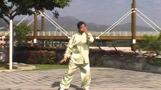 林 鈞 偉 師 傅  太極 一 O 五 式  Master Lam Kwan Wai  Koos Tai Chi [upl. by Brubaker]