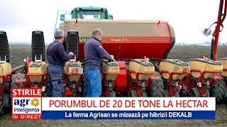 Cum se seamănă porumbul de 20 toneha [upl. by Llerud27]