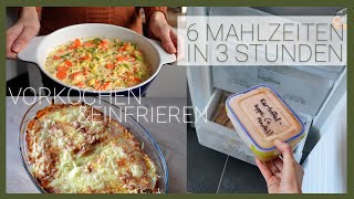 Nur 3 Stunden kochen für eine Woche  Freezer Meals im Test [upl. by Trevar345]