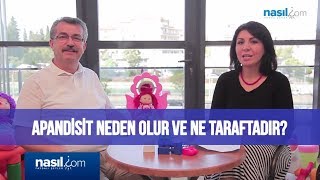 Apandisit nedir neden olur ne taraftadır  Sağlık  Nasilcom [upl. by Meehar]