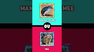 Tu préfères 🐧 Animaux 3  😄🐧 shorts tupreferes wouldyourather [upl. by Nonregla473]