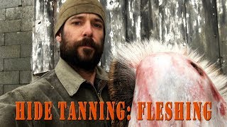 How to Scrape Hair and Grain from Deer Hide excerpt from Hide Tanning Course [upl. by Odetta210]