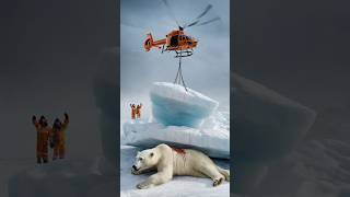 Polar Bear Rescue in the Most Unbelievable Way [upl. by Alessig]