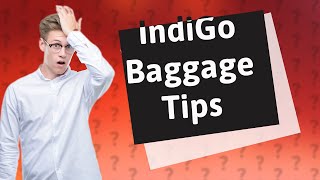 Can we carry 2 bags for 30 kg in indigo [upl. by Emse]