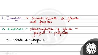 Match ListI with ListII ListI Enzyme ListII Process involved in A Invertase I Con [upl. by Nnailuj118]