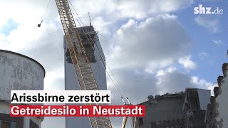 Abrissbirne bringt Wahrzeichen in Neustadt in Holstein zum Einsturz [upl. by Toiboid683]