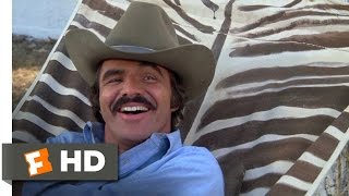 Smokey and the Bandit 110 Movie CLIP  A Real Challenge 1977 HD [upl. by Salvadore]