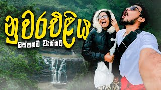 මීදුම පිරුනු නුවරඑළියට😍 NUWARAELIYA SRI LANKA  Chamus Diary [upl. by Josey]