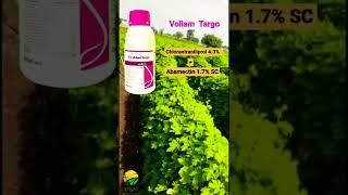 Voliam Targo वोलिएम टार्गो  Syngenta shorts agriculture agro kisan [upl. by Emalia432]