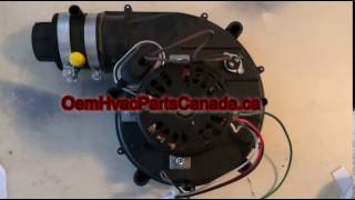 AIC34589 York Inducer Motor S132434589000 2 stage Motor [upl. by Deanne]