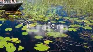 Kwetsani Camp Okavango Delta Botswana [upl. by Emil841]