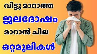 jaladosham maaran ottamooli  ജലദോഷം മാറാൻ ഒറ്റമൂലി  ottamooli homeremedies [upl. by Shivers129]