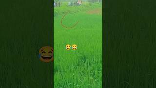 Aaj ke mukhya samachar ke gana HD gadishort video😂👏 [upl. by Adnor885]