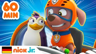 PAW Patrol  1 STUNDE der besten Tierrettungen  Nick Jr [upl. by Adnwahsat]