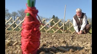 SEMIS DES LÉGUMES PRÉCOCES AU POTAGER COMMENT BIEN LES RÉUSSIR [upl. by Yrrat]