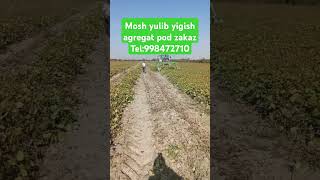 Mosh yulib yigish agregat pod zakaz automobile farming agriculture fargonamashinabozorinarxlari [upl. by Suciram]