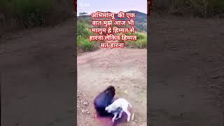 अभिमान्यू की एक बातanimal motivation sorts [upl. by Naeloj]