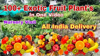 100 Exotic fruit Plants in one video  Nursery visit Best fruit plant Nursery  Online Delivery [upl. by Aveer]