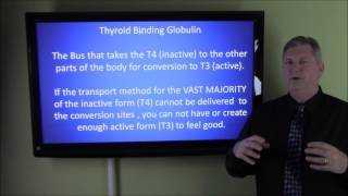 Beat Thyroid Disorders 2 Minute Tip 6 TBG Thyroxinebinding globulin [upl. by Acimot]