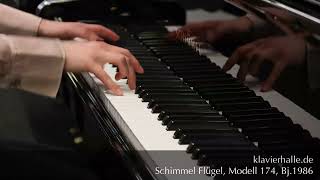 Schimmel Flügel Modell 174T Bj1986  Franz Liszt  Spanische Rhapsodie [upl. by Namyl]