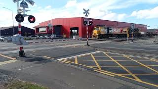 Matipo Street level crossing [upl. by Anerehs]