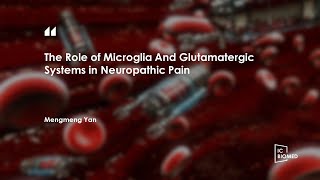 ICBioMed 2023The Role of Microglia And Glutamatergic Systems in Neuropathic Pain [upl. by Deevan451]