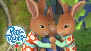 Peter Rabbit  Flopsy and Mopsy Teach Peter a Lesson  Cartoons for Kids [upl. by Arreis]