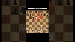 Chess  checkmate chess checkmate viralvideo trending [upl. by Eisus]