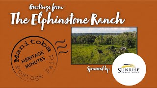 Manitoba Heritage Minute Elphinstone Ranch [upl. by Kier806]