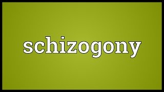 Schizogony Meaning [upl. by Henn]