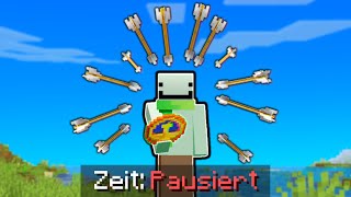 Minecraft aber ich kann die Zeit Stoppen [upl. by Sabsay]