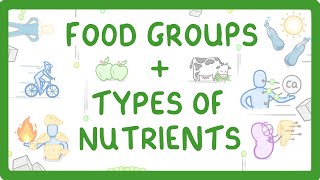 GCSE Biology  What are Nutrients Carbohydrates Lipids Proteins Vitamins amp Minerals 15 [upl. by Elhsa]