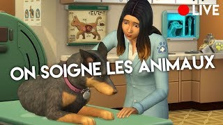 LES SIMS 4 CHIENS amp CHATS  FR  4 La clinique accueille un nouveau vétérinaire [upl. by Lehte]