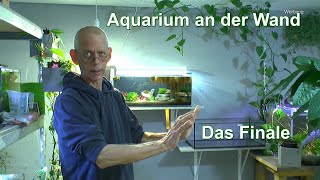 Aquarium an der Wand das Finale mit vielen Informationen und Anregungen für deine Projekte [upl. by Veradis305]