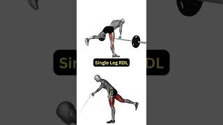 Home Workout For Strong Legs Resistance Band Leg Workout Barbell Equivalents [upl. by Hendren]