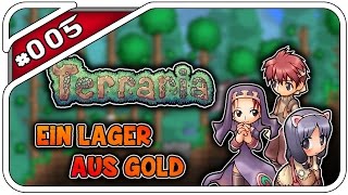 ICH BAU NE BURG  TERRARIA 13 005  Dhalucard [upl. by Strauss]